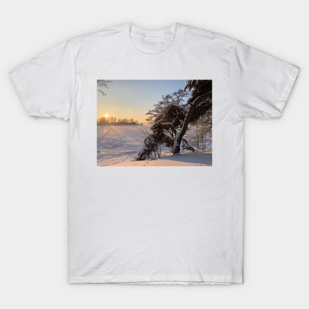 Sunset over the Frozen Lake T-Shirt by Dturner29